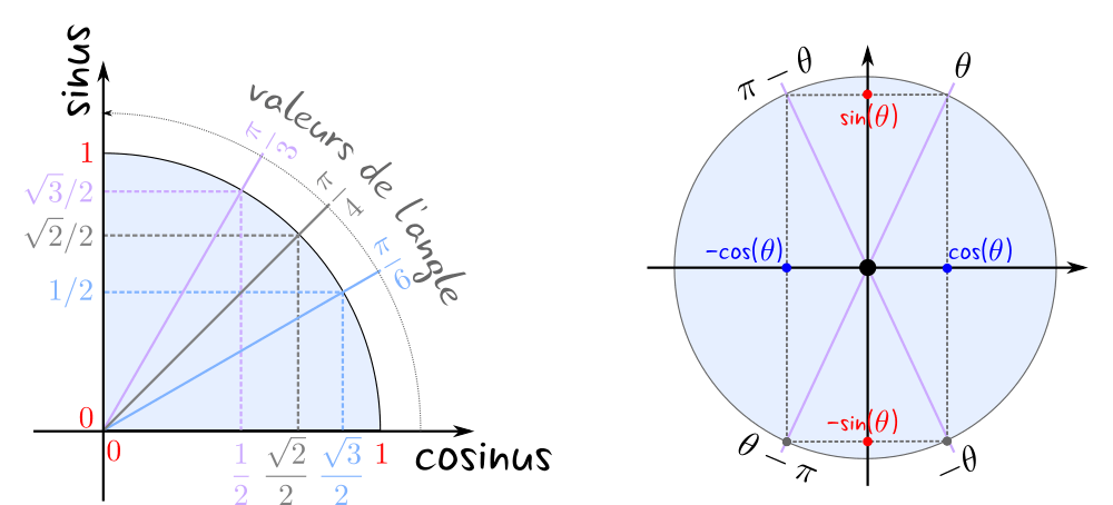 Le cercle trigo, le seul sur lequel tu peux compter !