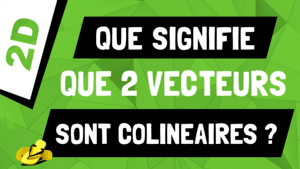 Que signifie ‹‹ les deux vecteurs sont colinéaires ›› ?