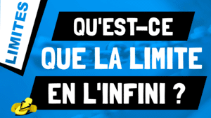 Qu'est-ce que la limite d'une fonction en l'infini ?