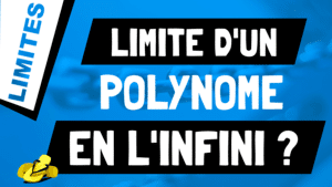 Comment calculer la limite d'un polynôme en ± infini ?